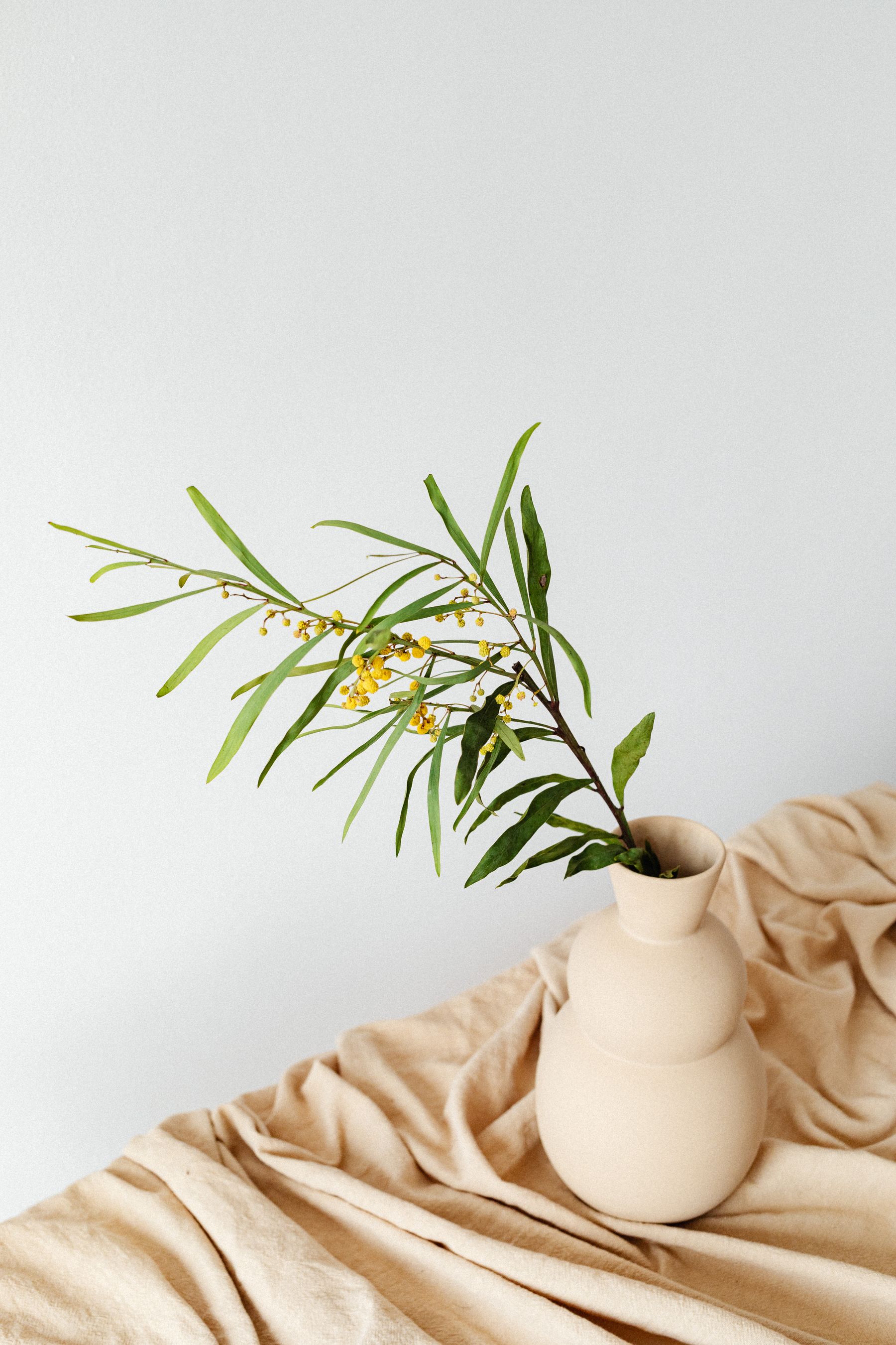 自然枝叶花器